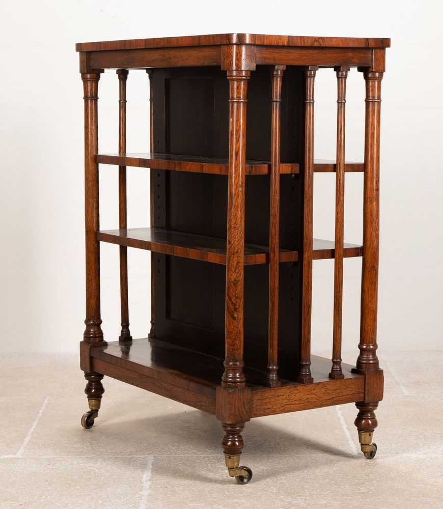 19th Century Regency Rosewood Double Sided Bookcase