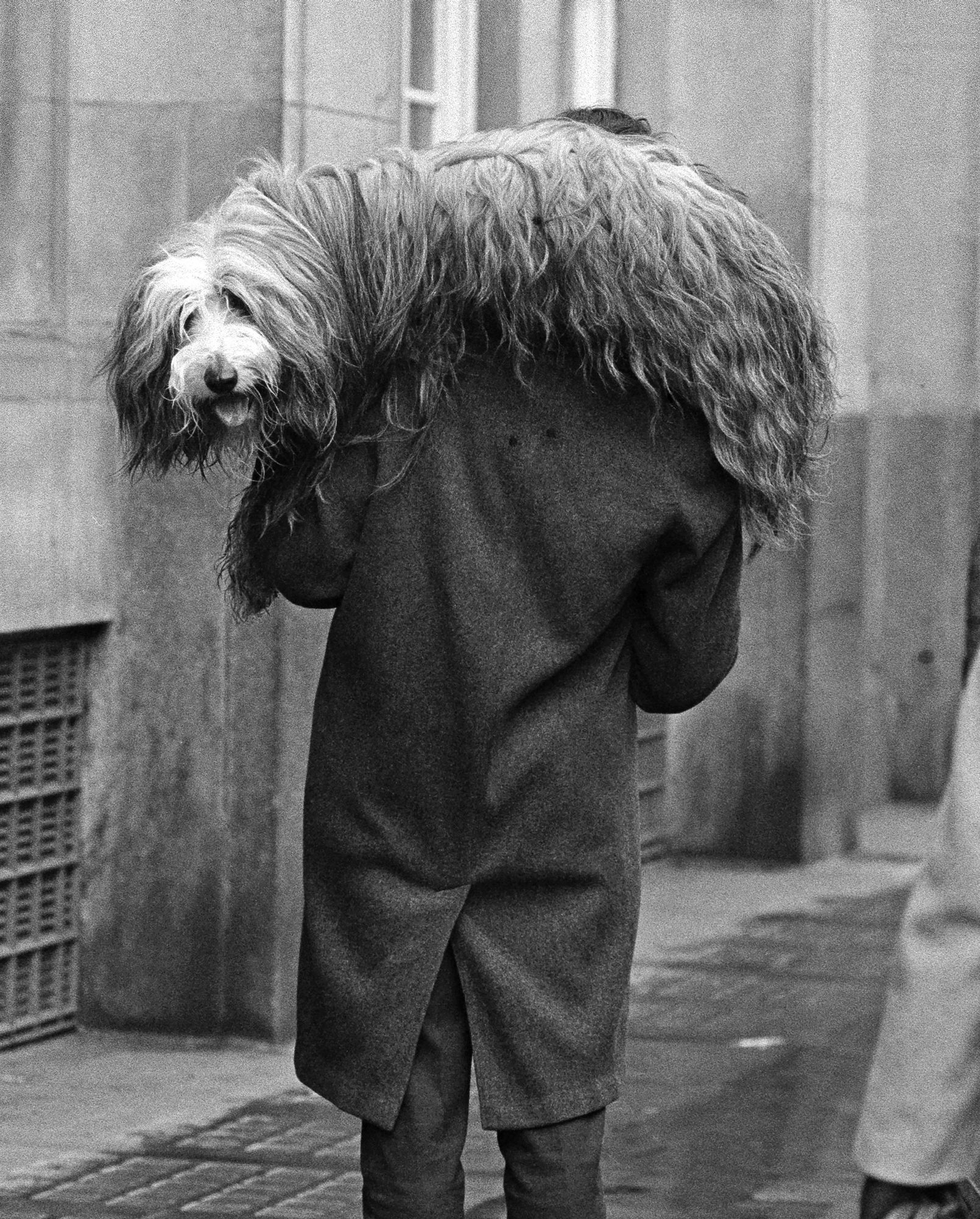 S_B&W_Dog_Show_Back_Man_Carrying_Dog_67