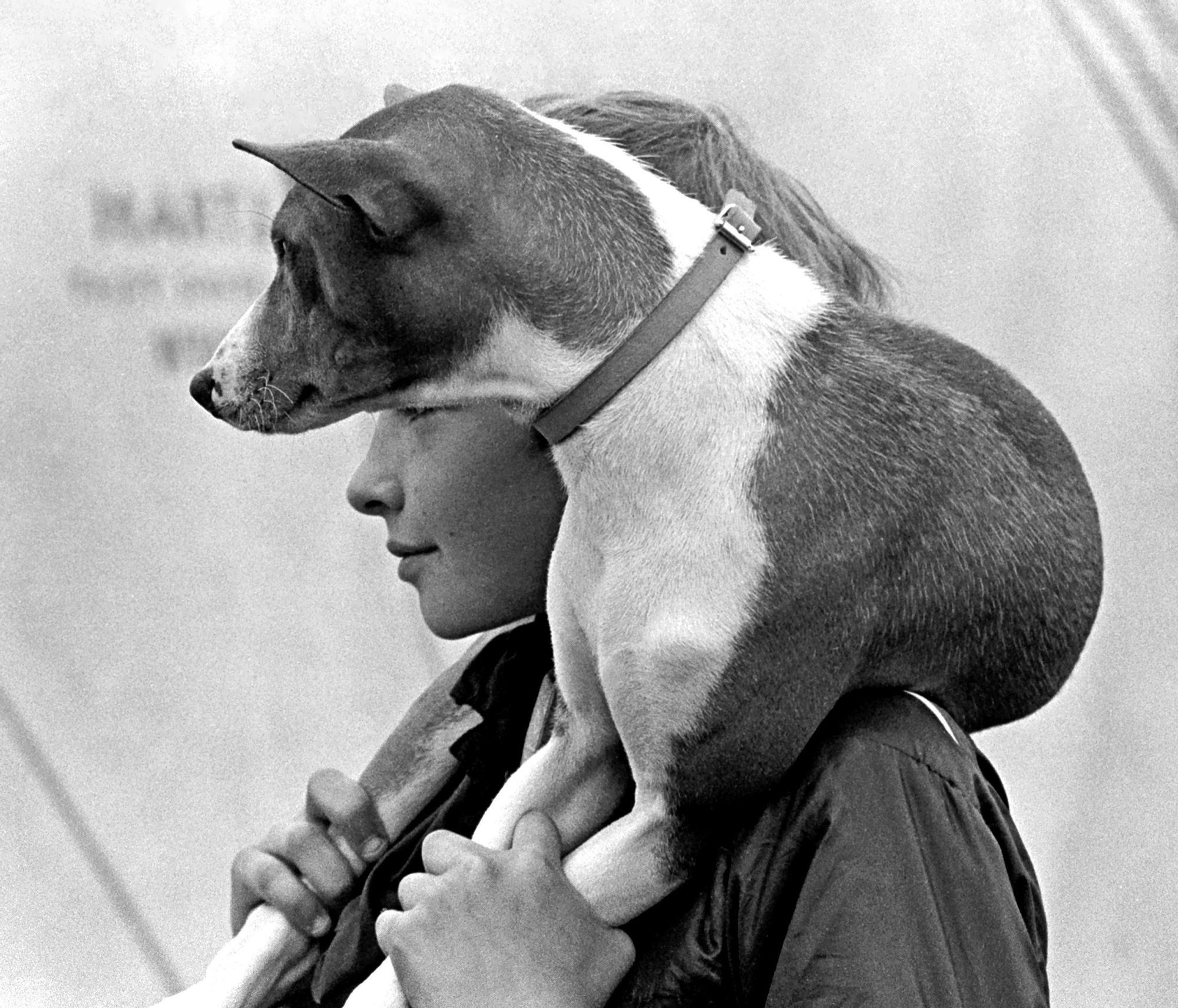 S_B&W_Dog_Show_Boy_Carrying_Dog_Profiles_23B