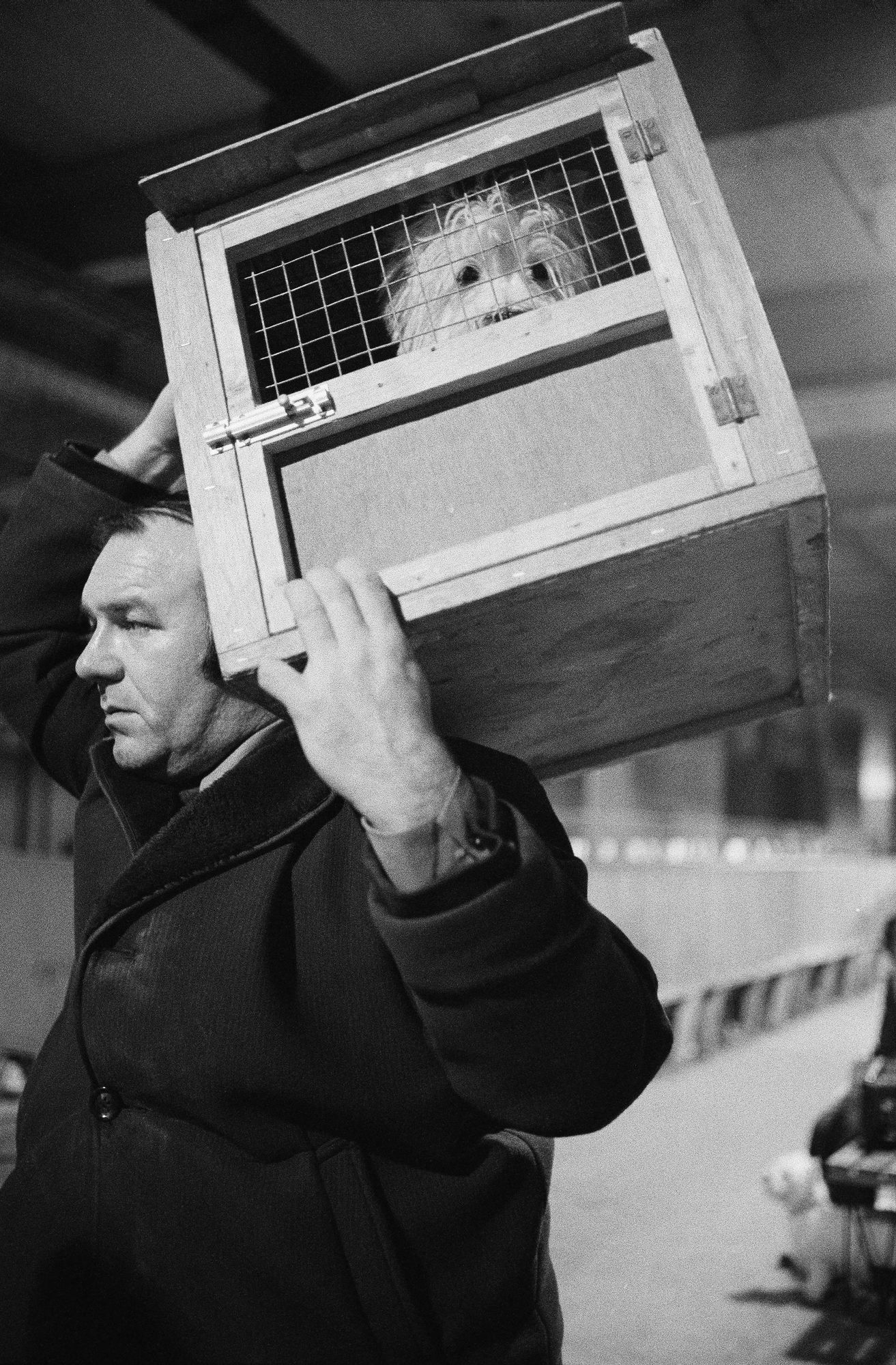 S_B&W_Dog_Show_Man_CarryingTerrier_In_Box_79