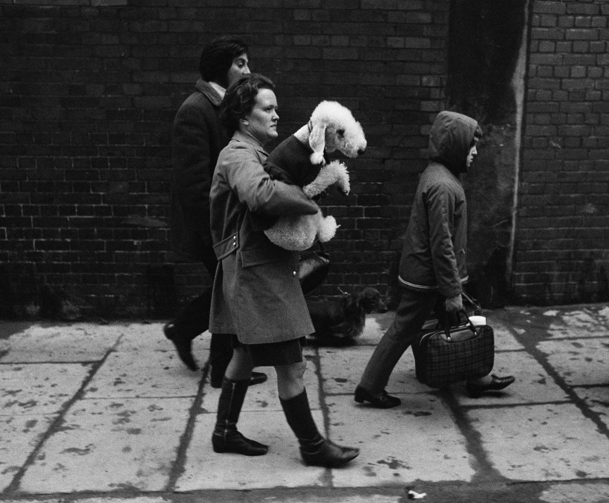 S_B&W_Dog_Show_Woman_Carrying_Bedington_Outside_1