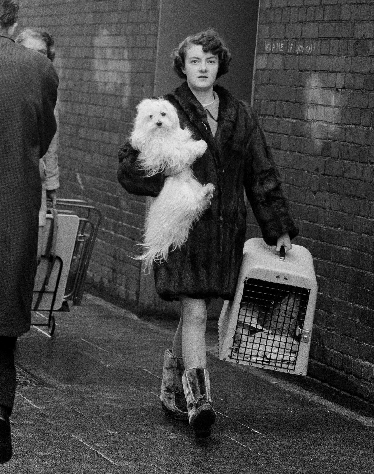 S_B&W_Dog_Show_Woman_Carrying_White_Dog+Cage_64