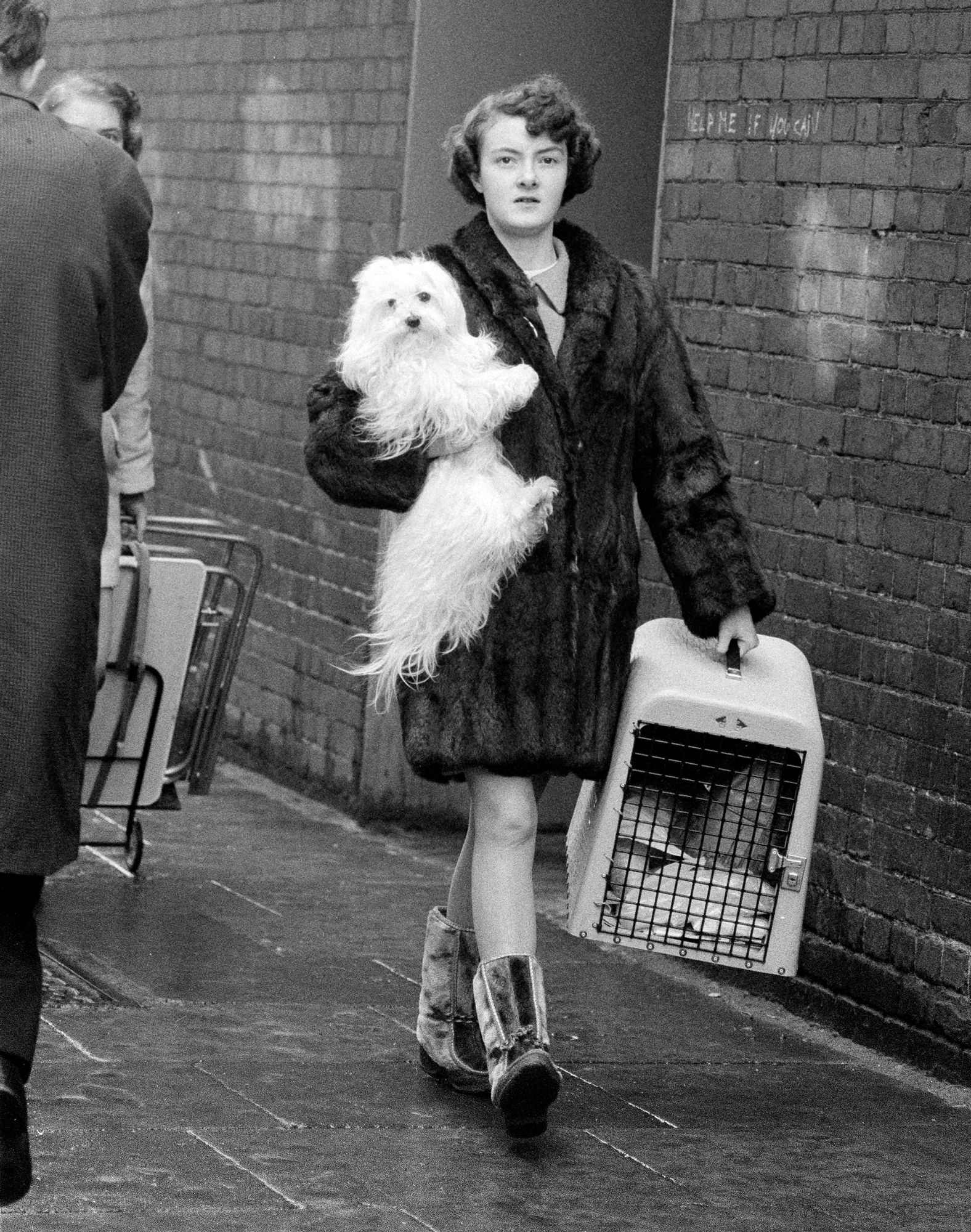 S_B&W_Dog_Show_Woman_Carrying_White_Dog+Cage_64