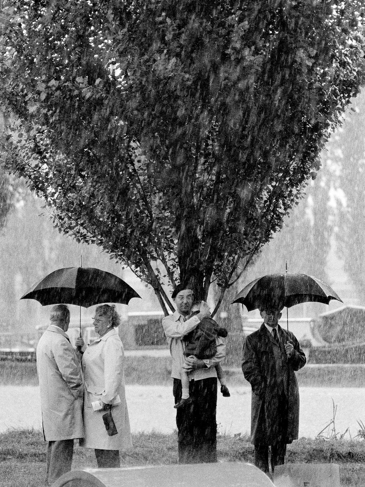 S_Park_2_Umbrellas_under_Tree_Final