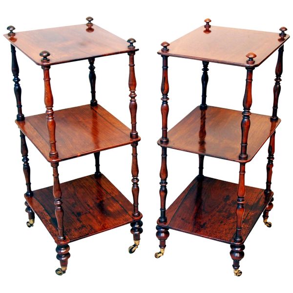 19th Century Rosewood Matched Pair of Small Whatnots