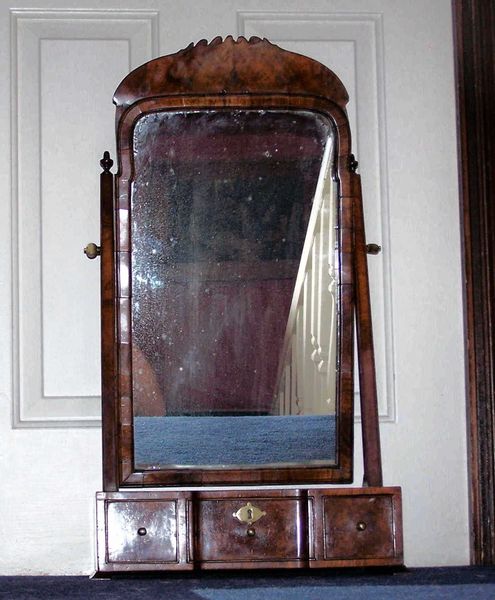 Antique Toilet Mirror